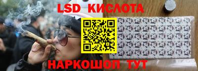 спиды Новодвинск