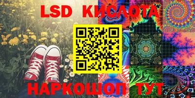 спиды Новодвинск